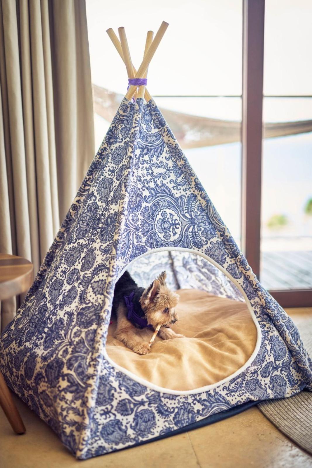 Hotel Xcaret Arte - All Parks All Fun Inclusive - Adults Only Xcaret Park Esterno foto A dog in a teepee